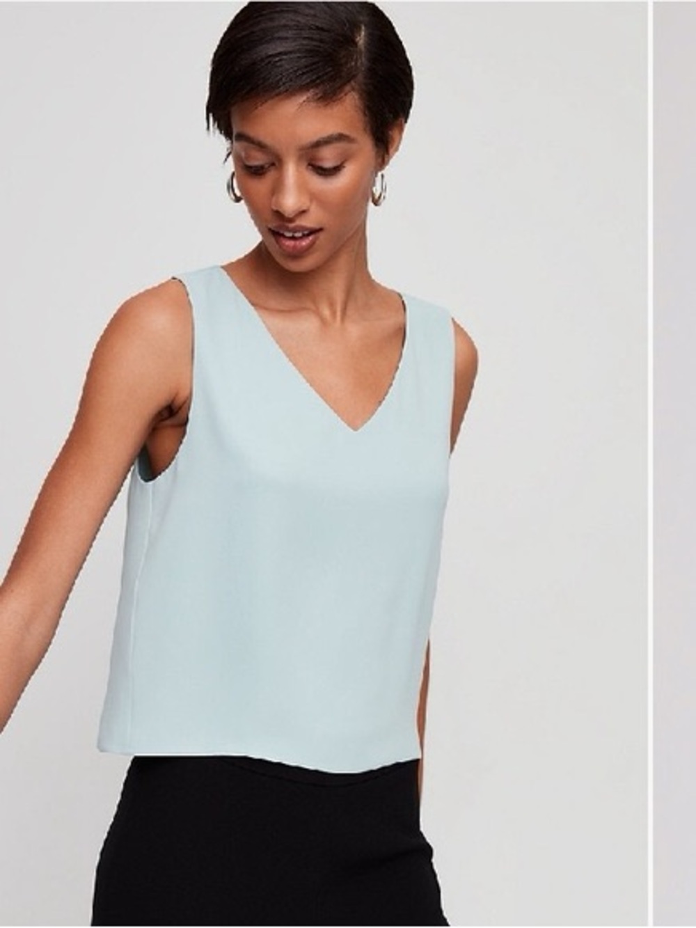 Babaton Aritzia Murphy blouse